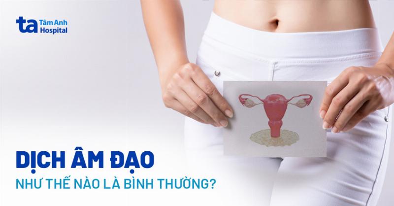 Các loại dịch âm đạo và chất nhầy cổ tử cung theo chu kỳ, bao gồm dịch như lòng trắng trứng